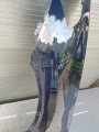 IMG_20240726_144933.jpg