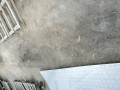 IMG_20240809_161348_BURST1.jpg
