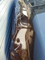IMG_20240807_165102.jpg