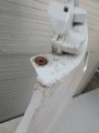 IMG_20240731_154633.jpg