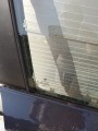 IMG_20240907_114435.jpg