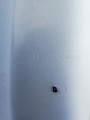 IMG_20190716_174305.jpg