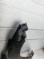 IMG_20190717_185135.jpg