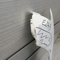 IMG_20190719_170244.jpg
